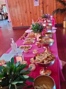 Bollywood party in new zealand about us review (3)